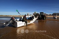 /album/monte-gordo/dsc-3401-copy-jpg/